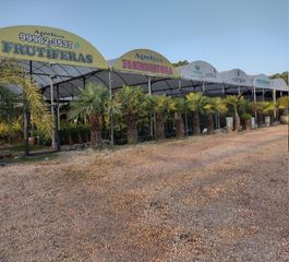 Agrofeira plantas,mudas,frutas,verduras - URBAN JUNGLE. Em